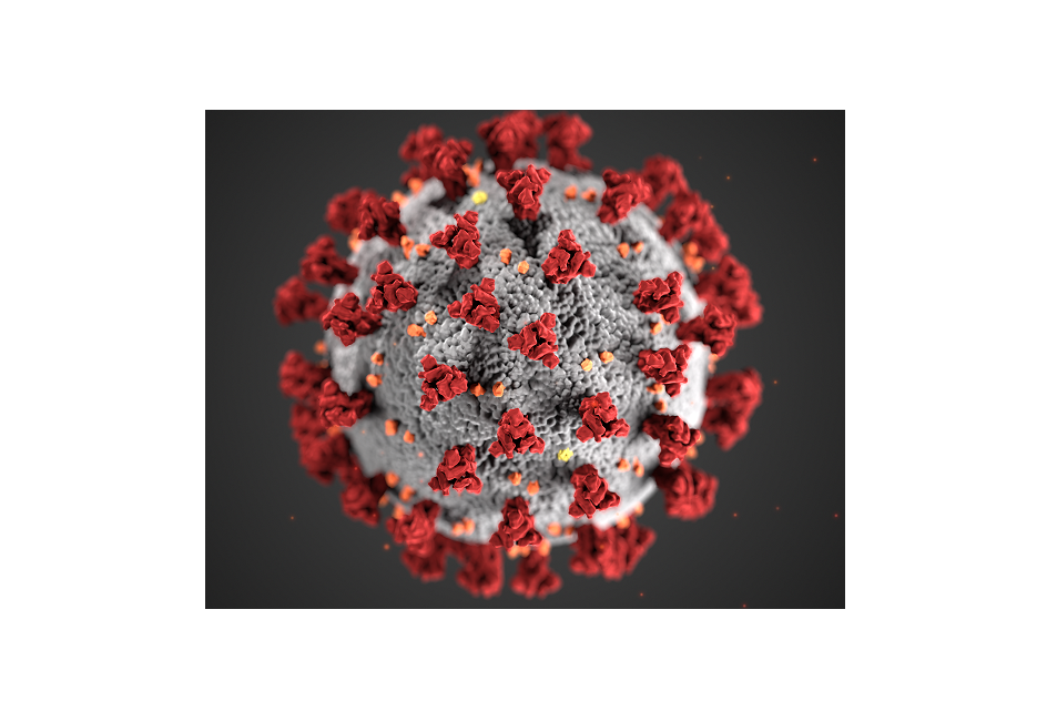 COVID-19 Virus