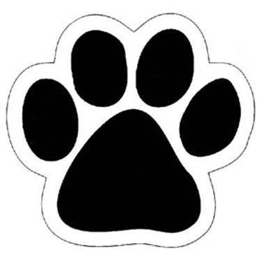 Picture of dog paw