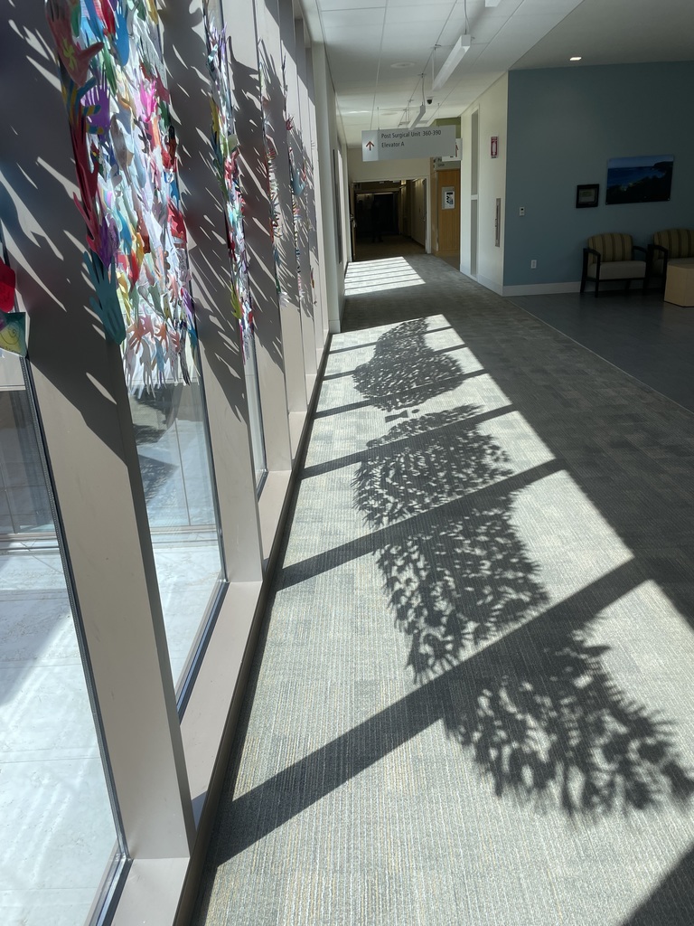 hand artwork on hospital windows casting a shadow on the floor