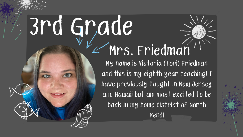 Chalk art fish and seashells, Meet a new 3rd grade teacher Mrs. Friedman